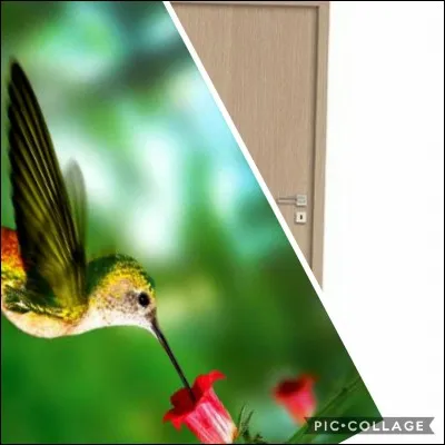 Ouvre-la et tu verras .