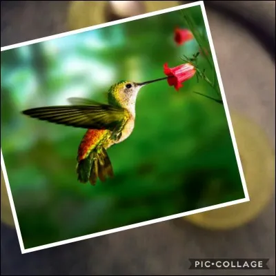 Tourne, tourne, ça va te déstresser !