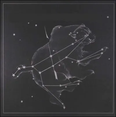 Au cas où vous trouveriez tout cela trop facile, gardez-vous néanmoins d'un «mercantilisme arctodermique ante mortem». C'est-à-dire ?