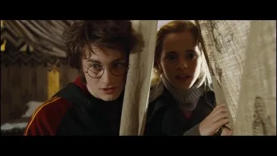 Dans quel film Harry devient-il ami avec Hermione ?