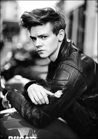 Qui sont les deux autres personnes qui sont dans "Le Labyrinthe 2" avec Thomas ?