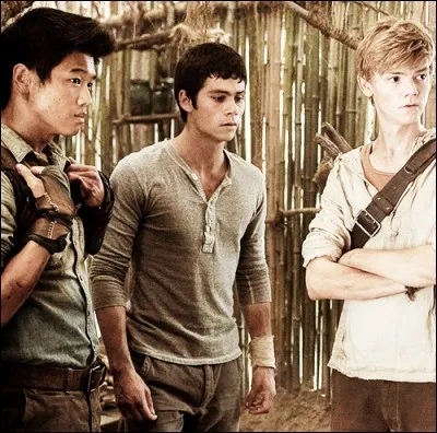 Qui meurt dans "Le Labyrinthe 3" ?