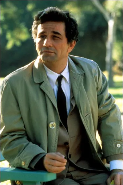 Comment s'appelle cette série ?