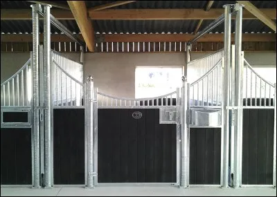 Quelles sont les différents hébergements des chevaux et poney ?