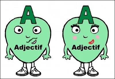 L'adjectif qui te décrit est...