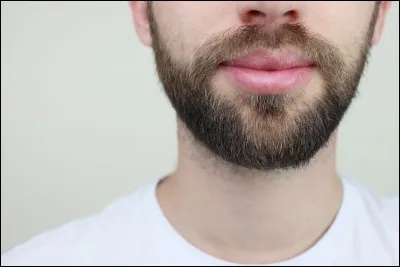 &Agrave; qui peut bien correspondre cette image ?