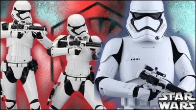 Comment s'appellent ces soldats ?