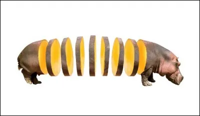 Vous allez vous en payer une bonne !