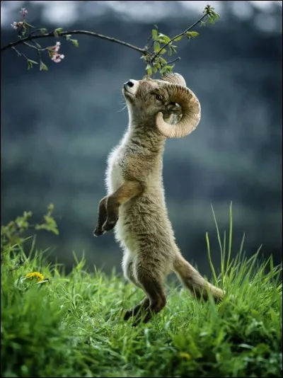 Faites un effort, ce n'est pas si difficile !