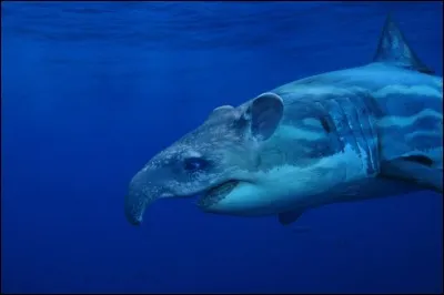 Celui-ci peut vous poser problème !