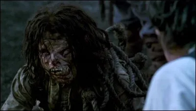 Terminons avec ce spécimen !