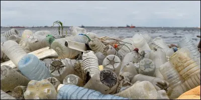 Combien de temps met le déchet plastique à se décomposer ?