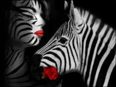 Le zèbre est-il blanc à rayures noires, ou noir à rayures blanches ?