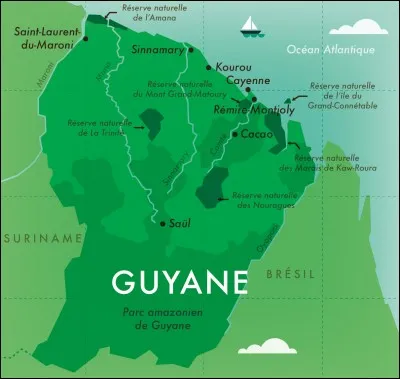 Je ne vais pas vous raconter des salades ... de fruit !