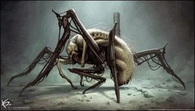 Qu'est-ce que c'est ?