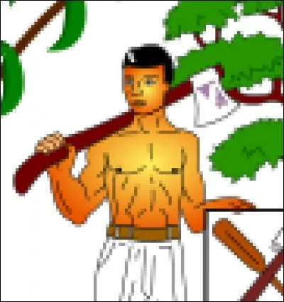 Sur le drapeau de quel pays peut-on observer ce petit détail ?