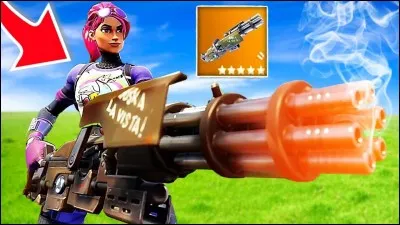 Quelle est cette arme ?