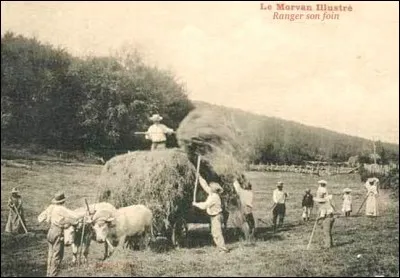 Certains brûlent déjà de connaître la fin et j'en vois un en train de « troglodempodire ». Laissons-les jusqu'au bout dans leurs « conctations interpéracaséiennes ». Vous suivez ?