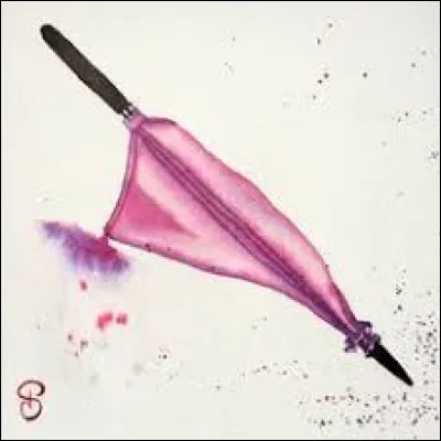 Pouvez-vous me décrire la baguette de Hagrid ?