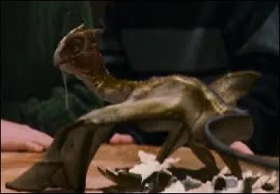 Hagrid a adopté un dragon, Norbert. Harry, Ron et Hermione ont réussi à le convaincre de ne pas le garder. Des amis de Charlie Weasley viennent chercher Norbert. Combien sont-ils exactement ?