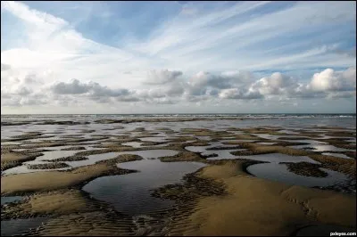 Quels pays sont baignés par la mer des Wadden ?