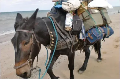 C'est l&agrave; qu'il blesse !