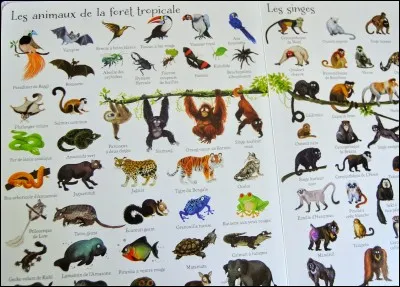 Il a mont&eacute; un bateau !