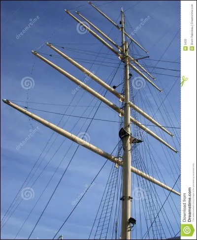 Dot&eacute;e de perroquets !