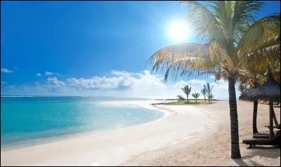 Ici, on peut bronzer ou se baigner. C'est...