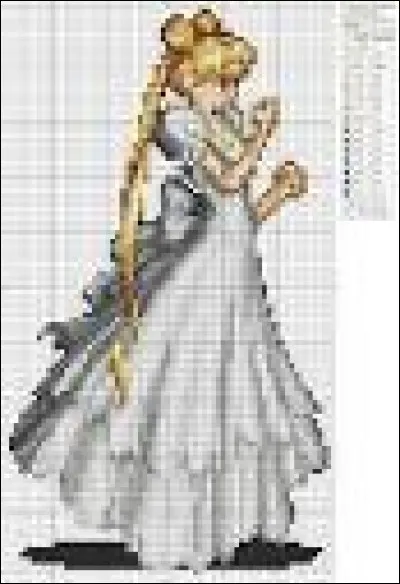 Alors qui doit-il sauver ?