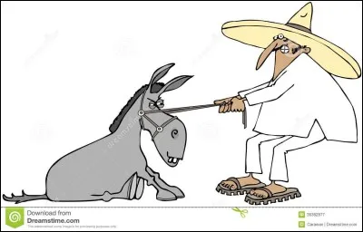 Être têtu comme...