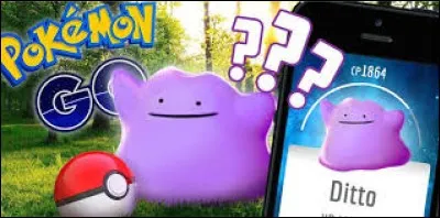 Qu'a-t-il de particulier ?