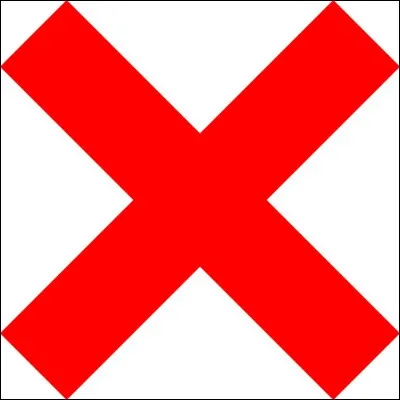 Qui sont leurs principaux rivaux ?