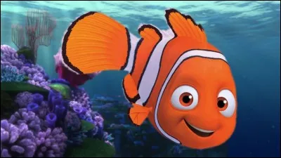 Comment s'appelle ce poisson dans un film très connu sorti en 2003 ?