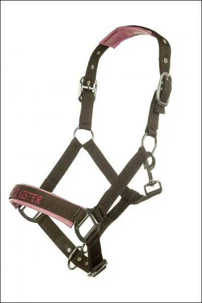 Comment appelle-t-on ceci ?