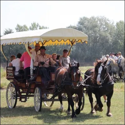 Comment appelle-t-on ceci ?