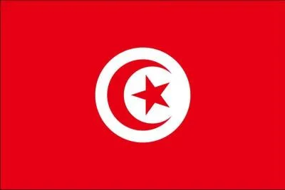 Le drapeau qui suit est celui...