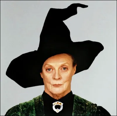 De quelle forme sont les lunettes de McGonagall ?