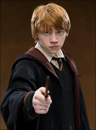 Quel est le nom complet du 6e fils Weasley ?