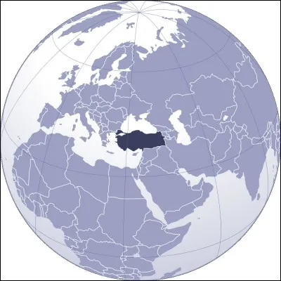 Quel est ce pays représenté sur le globe ?