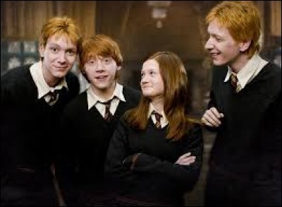 Citez les enfants de la famille Weasley dans l'ordre, de l'aîné au plus petit.