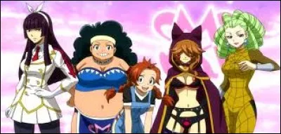 Si tu passais de Fairy Tail à Mermaid Heel (guilde du tournoi inter-magique), qui serais-tu ?