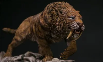 Quelle est l'autre nom du Smilodon ?