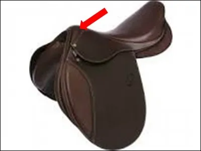 Quelle est cette partie de la selle ?