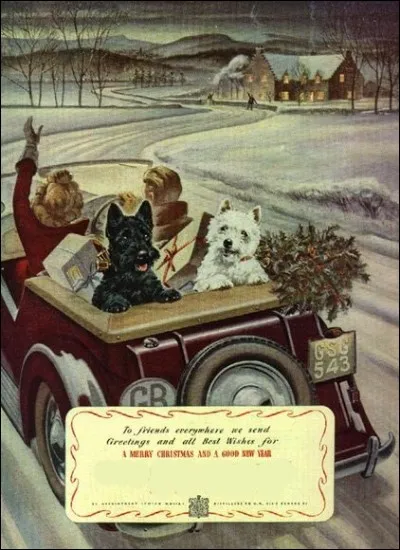 Quelle denrée est représentée sur cette vieille affiche publicitaire ?