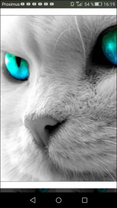 Pourquoi Cur Blanc s'est-il fait défigurer ?