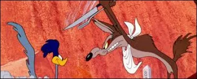 Voici un coyote qui n'arrête pas d'essayer d'attraper cet oiseau rapide pour le manger, son nom est...