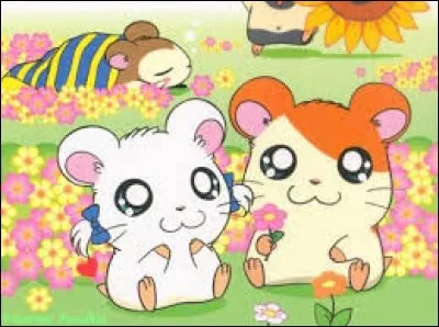 Voici de mignons petits hamsters, le personnage principal est...