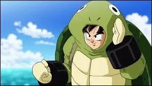 Quelle est la pire erreur dans "Dragon Ball" ?
