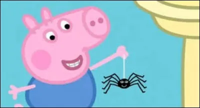 Dans le dessin animé, "Peppa Pig", comment Peppa et George surnomment-ils l'araignée ?